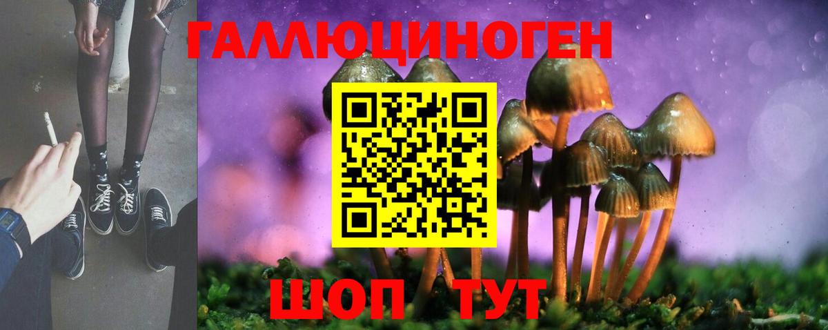 Псилоцибиновые грибы мухоморы Владикавказ