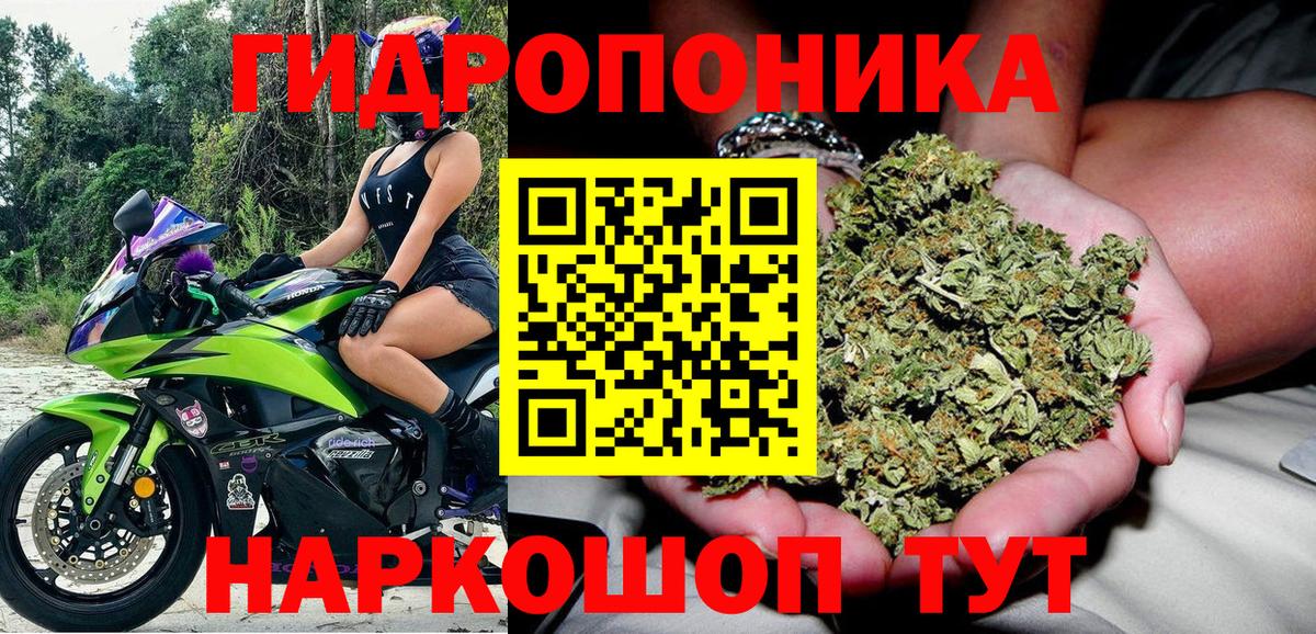 Владикавказ  Шишки марихуана план  Марихуана White Widow  Конопля гибрид  Вход с VPN 
